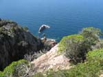 �Calanche� vid Piana ...