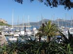 Calvi ...