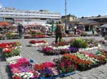 Kuopio: Marknad