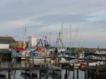 M�n: The harbor ...