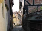 ... the city