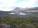 82490 800 m�h och ovanf�r tr�dgr�nsen
