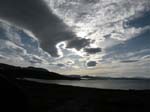 Virihaure p� natten