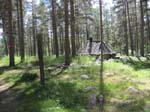Skogen