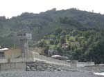 Plantations de th�