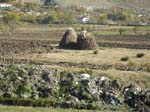 Vackra h�stackar