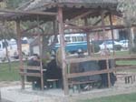 Gubbar spelar Br�de