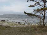 Lilla Karls�