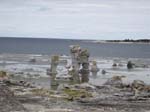 Gamle hamn