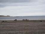 �de strand i nordv�st