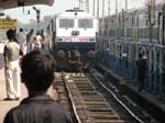 Attente, une vache bloque le train