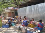 � c�t�, un march� de poissons