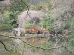 Magnifika Ryoan-ji