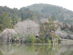 Kinkaku-ji: Ett annat Zen-Buddhisttempel