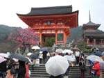 ... vid Buddhisttemplet Kiyomizu-dera