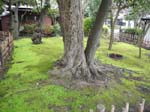 Kotokuin Temple: The Garden ...