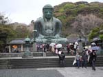 ... the Great Buddha