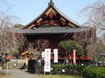 Ueno, le temple
