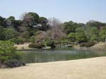 Le jardin Rikugien