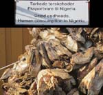Des t�tes de morue pour le Nigeria !