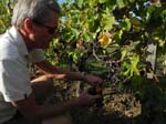 Chez Richard et Tattie dans le Gers