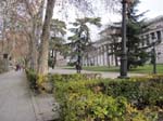 Le jardin du mus�e ...