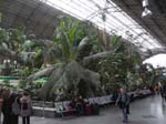 La gare est comme un oasis