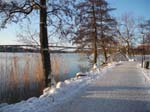 <i>Stockholm</i>, December 2: Winter is early ...