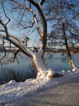 ... clear, crisp and -7 c. (19 F)