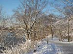 The trail along the lake