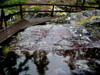 15840 A Walkway leads along ...