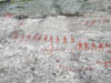 H�ljesta: Prehistoric Rock Carvings