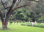 Den botaniska tr�dg�rden