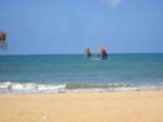 Negombo: la plage ...