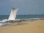 Les bateaux de p�che