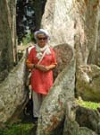 Grand arbre, petite femme