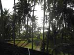 Ambalangoda: le premier h�tel ...