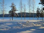 Frozen Lake