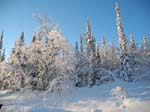 The Road to Jokkmokk