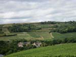 Sancerre