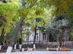 Le jardin de �Gudiashvili bagh�