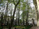 ... le jardin ...