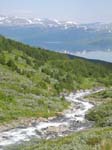 Dalen och Tornetr�sk