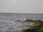 �landsbron l�ngt bort: 6 km