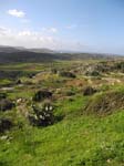 Maltese landscape