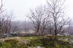 Some Staloluokta scenery...