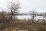Some Staloluokta scenery...