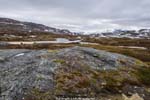 This terrain is totally awesome!