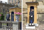 A palace guard or two...
