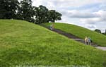 Skogskyrkog�rdenCemetery 3351